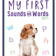 Product Review:  My First Sound and Word Cards
